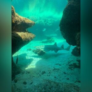 Meet your Posher, Mimi